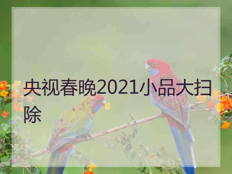 央视春晚2021小品大扫除