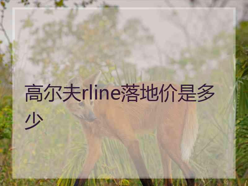 高尔夫rline落地价是多少