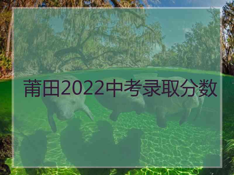 莆田2022中考录取分数