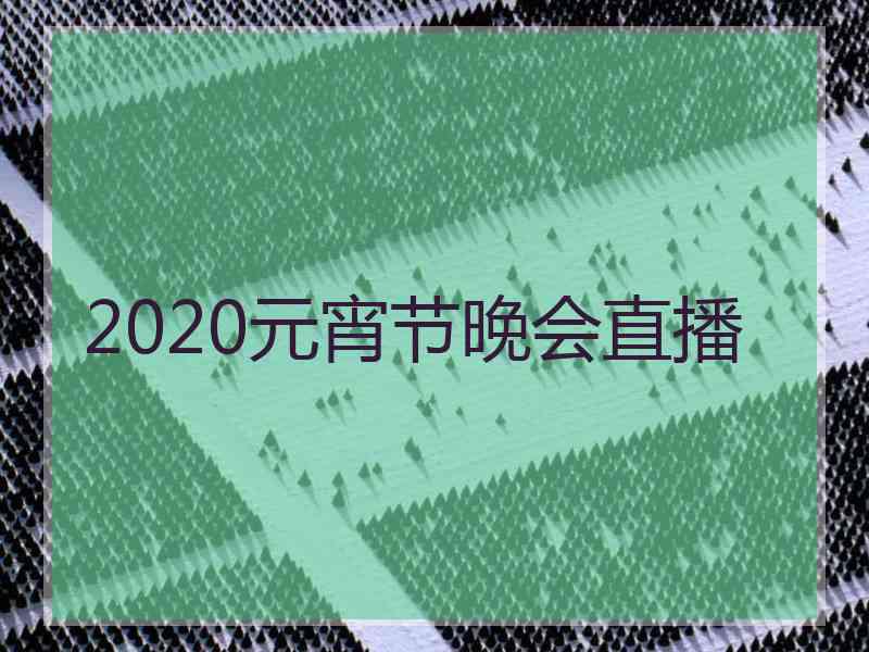 2020元宵节晚会直播