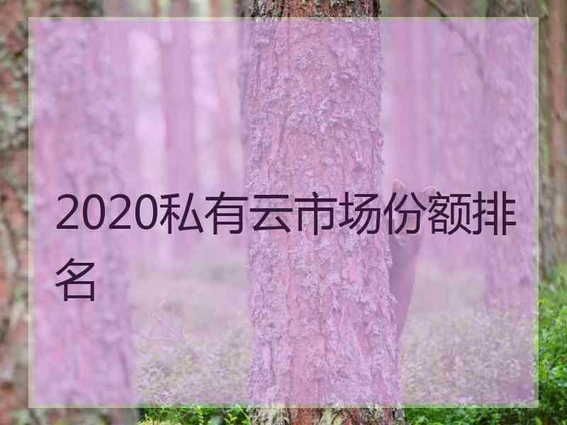 2020私有云市场份额排名