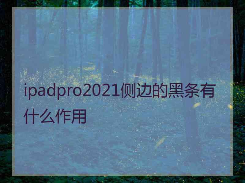 ipadpro2021侧边的黑条有什么作用