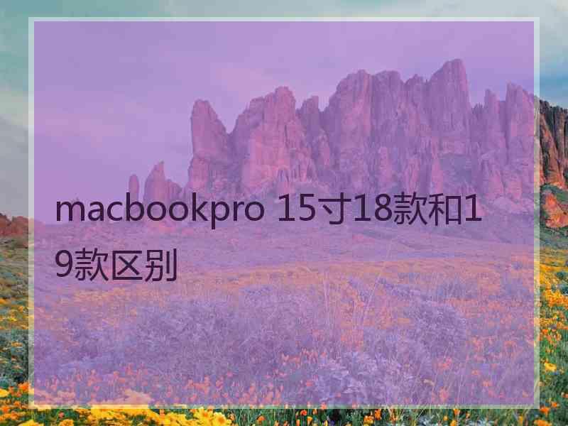 macbookpro 15寸18款和19款区别