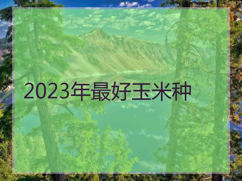 2023年最好玉米种