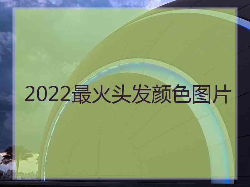 2022最火头发颜色图片