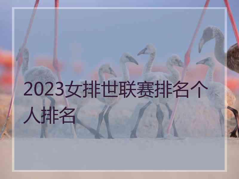 2023女排世联赛排名个人排名