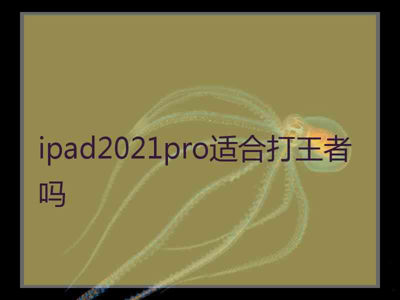 ipad2021pro适合打王者吗