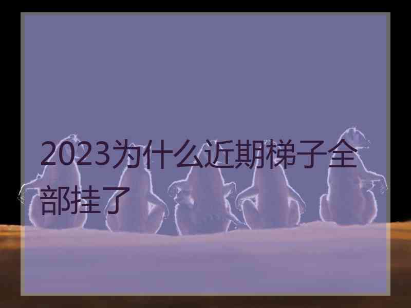 2023为什么近期梯子全部挂了