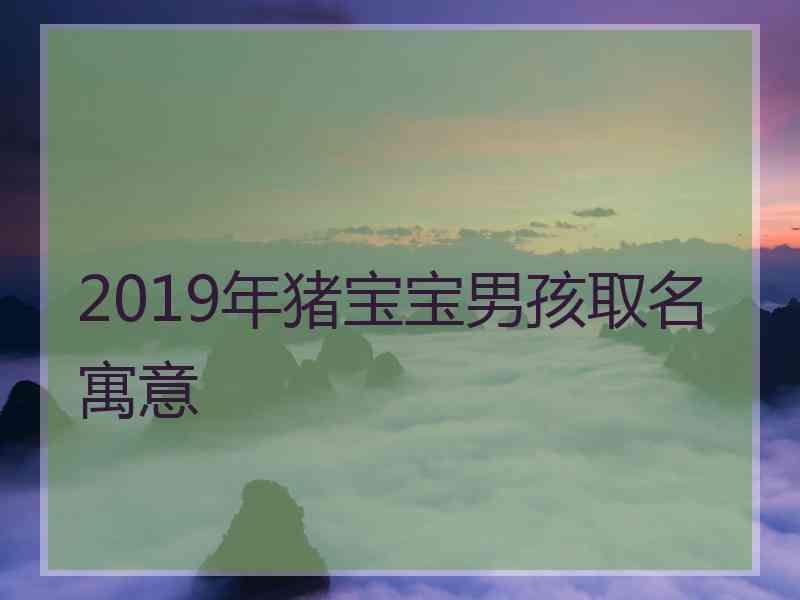 2019年猪宝宝男孩取名寓意