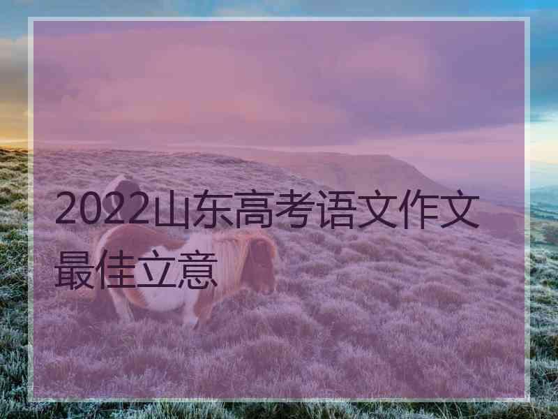 2022山东高考语文作文最佳立意