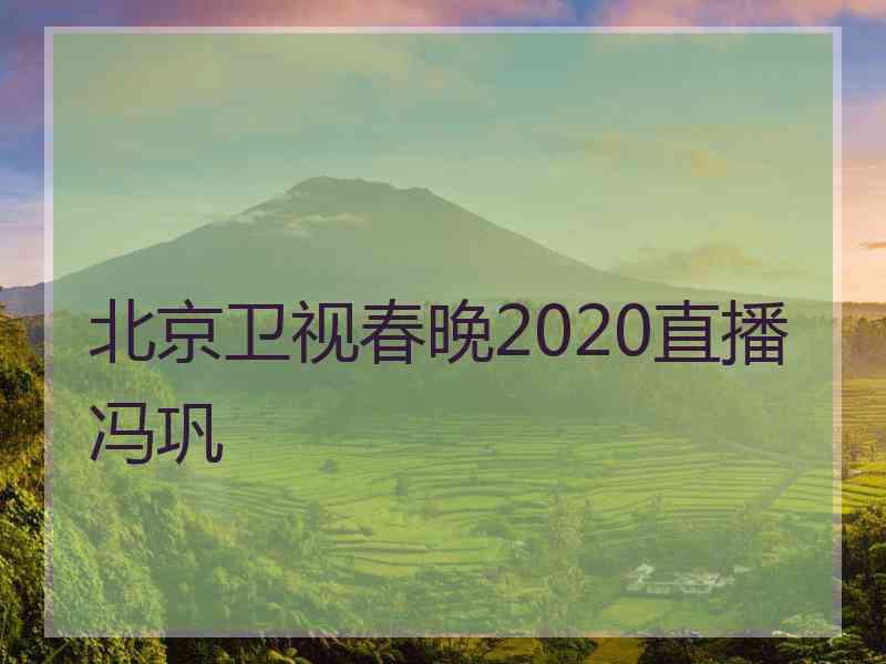 北京卫视春晚2020直播冯巩