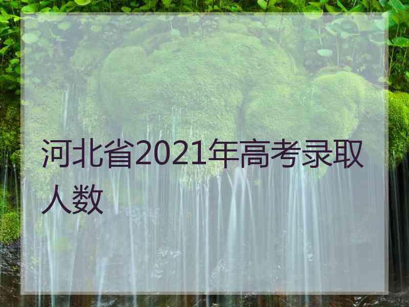 河北省2021年高考录取人数