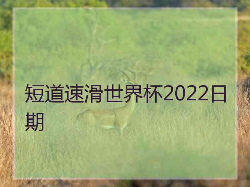 短道速滑世界杯2022日期