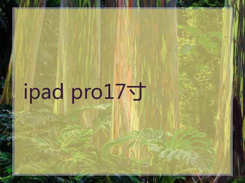 ipad pro17寸