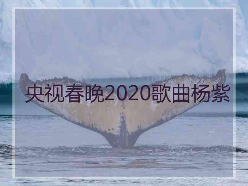 央视春晚2020歌曲杨紫