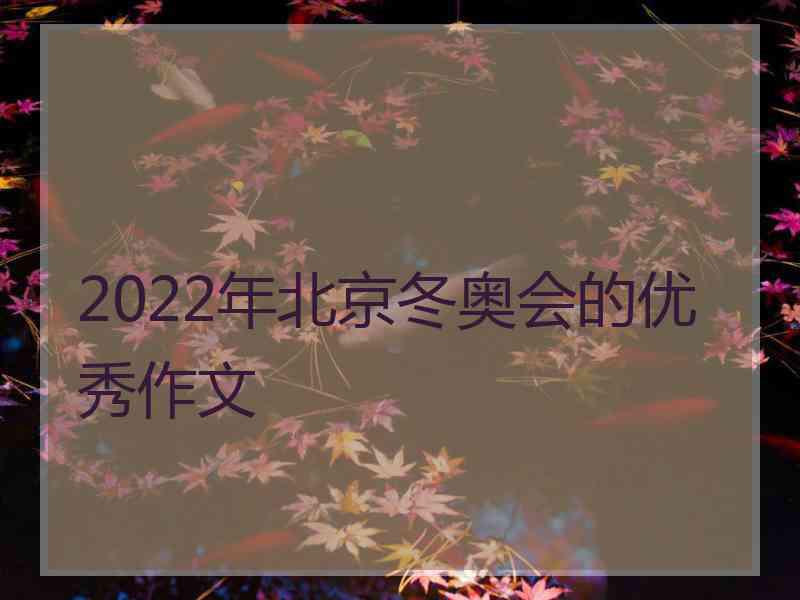 2022年北京冬奥会的优秀作文