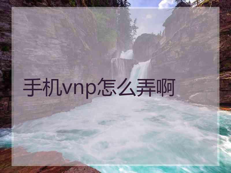 手机vnp怎么弄啊