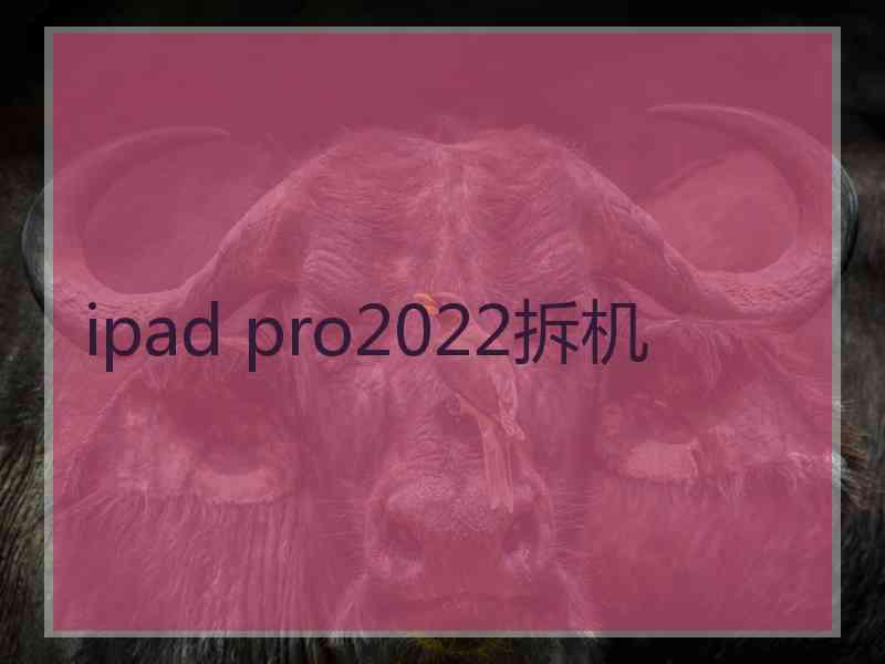 ipad pro2022拆机