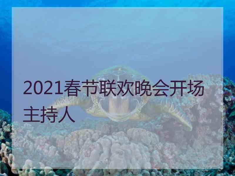 2021春节联欢晚会开场主持人