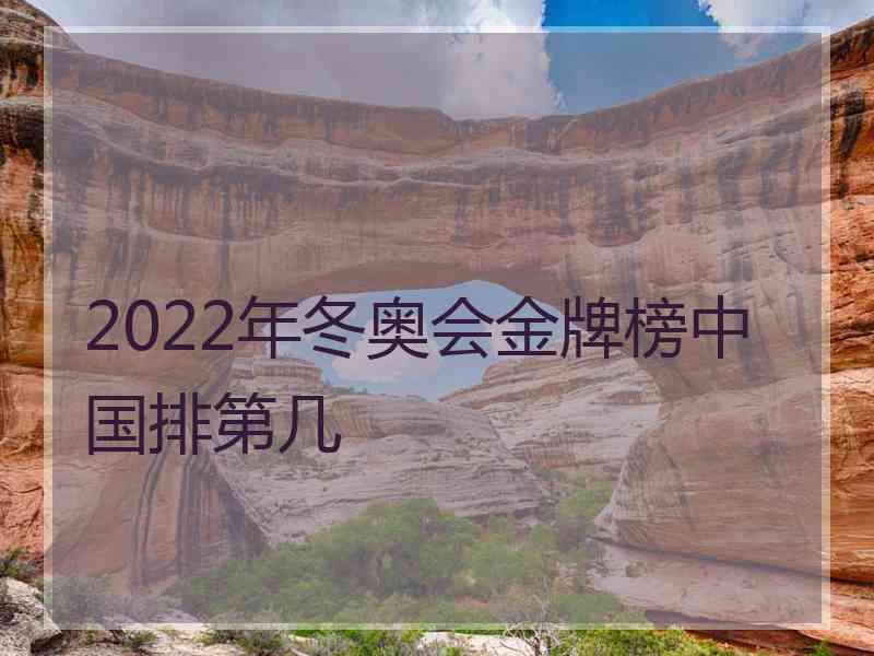 2022年冬奥会金牌榜中国排第几