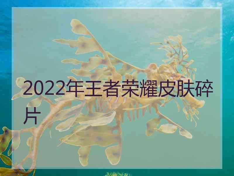 2022年王者荣耀皮肤碎片