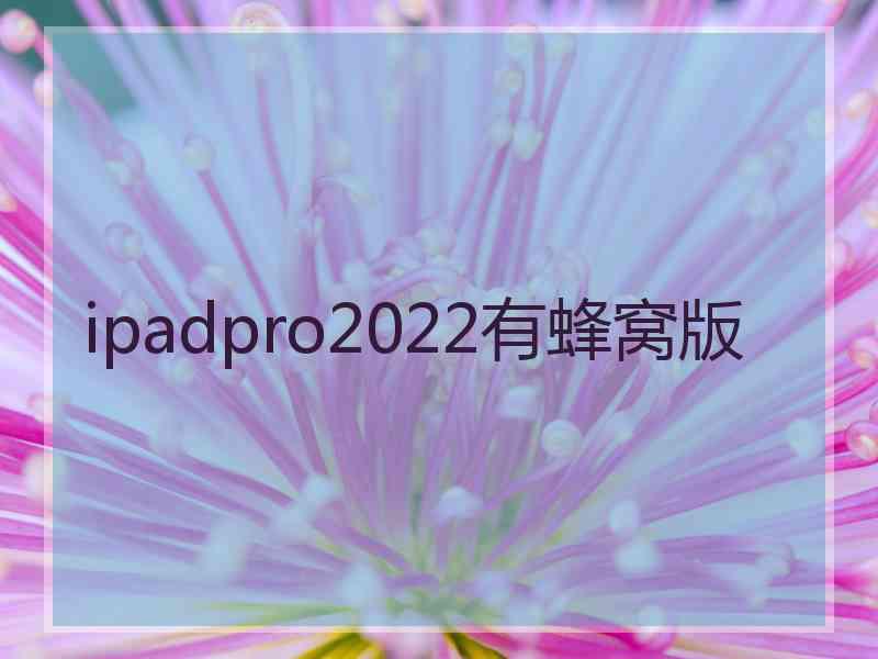 ipadpro2022有蜂窝版