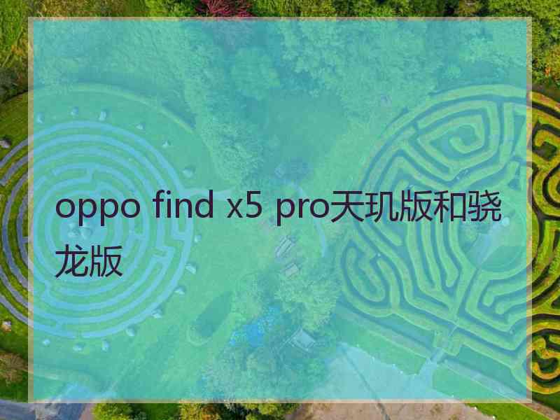 oppo find x5 pro天玑版和骁龙版