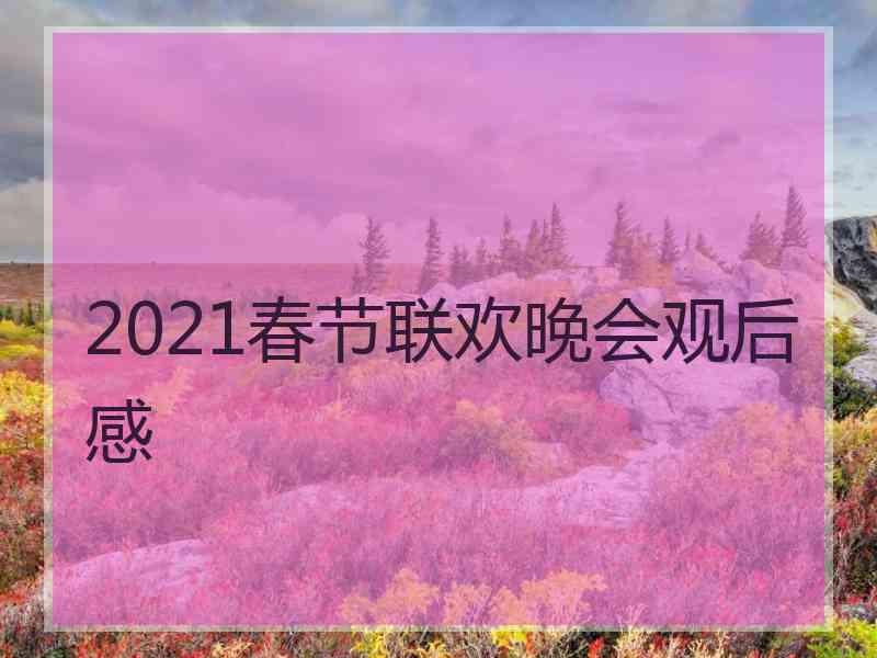 2021春节联欢晚会观后感