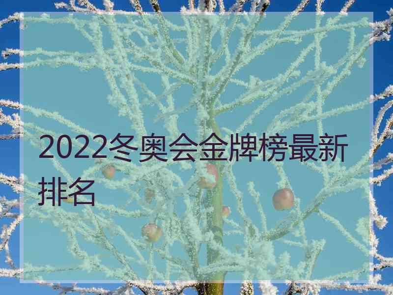 2022冬奥会金牌榜最新排名