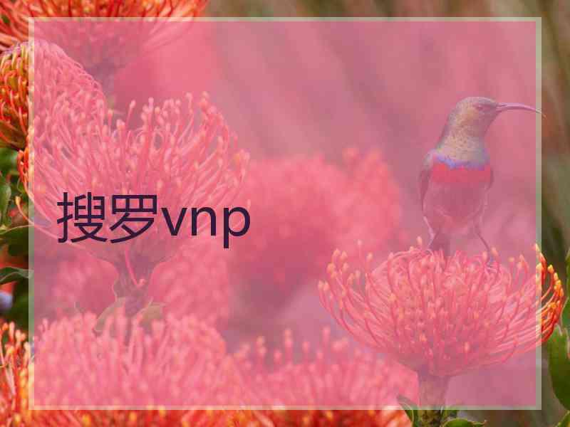 搜罗vnp