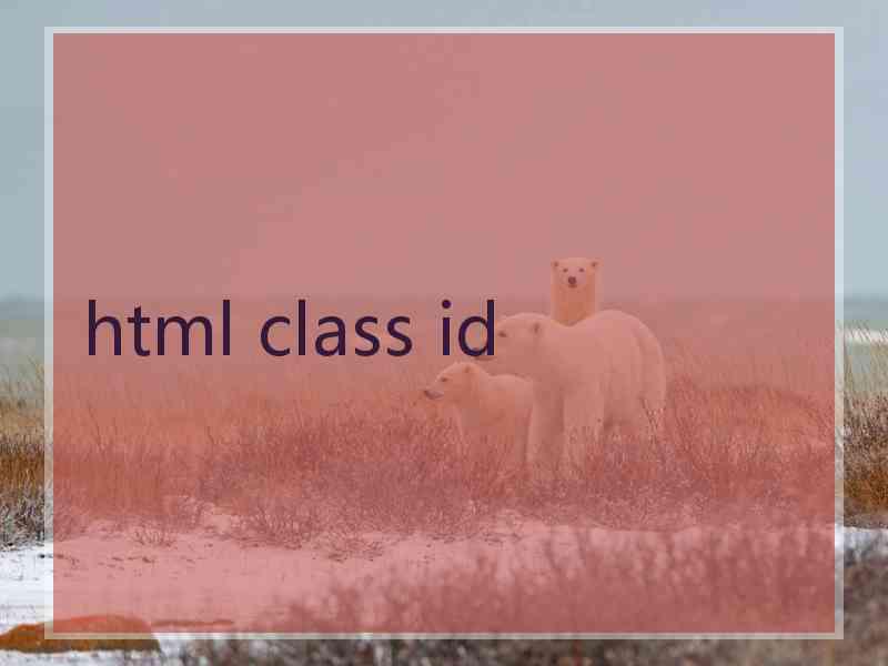 html class id