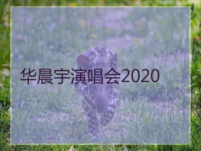 华晨宇演唱会2020