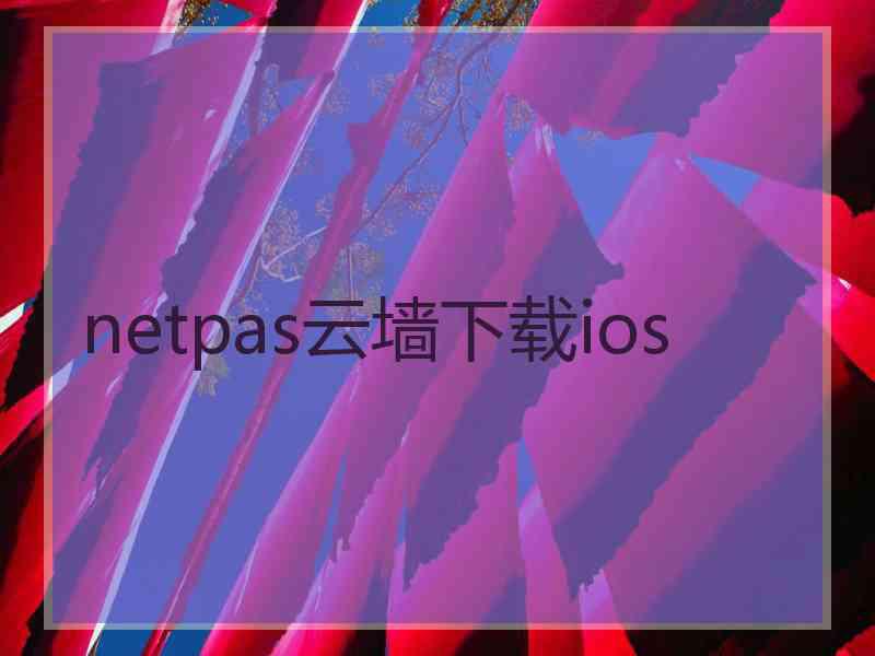 netpas云墙下载ios