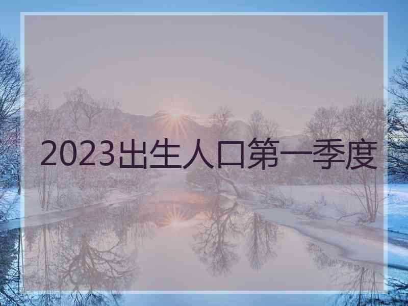 2023出生人口第一季度