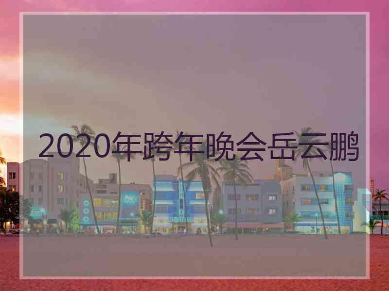 2020年跨年晚会岳云鹏