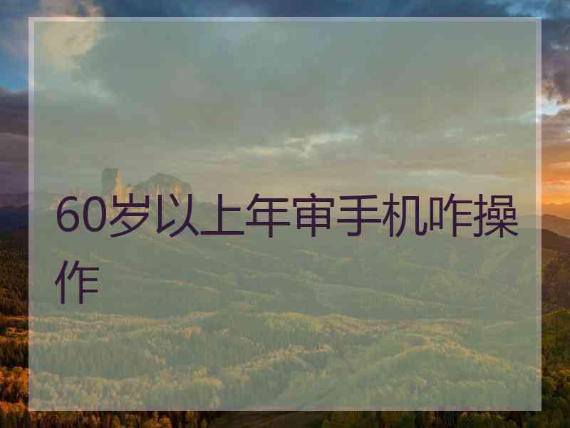 60岁以上年审手机咋操作