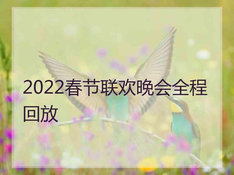 2022春节联欢晚会全程回放