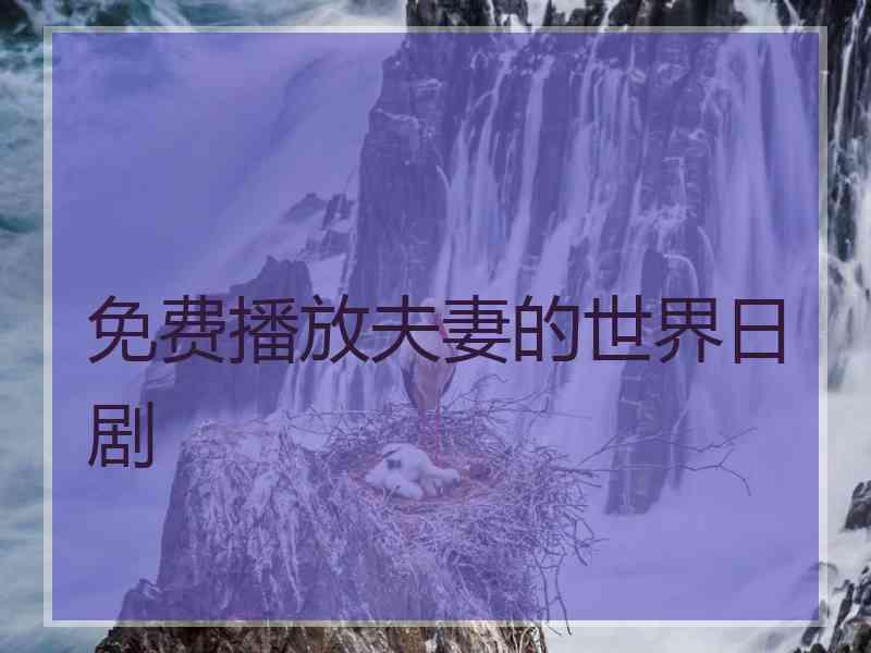 免费播放夫妻的世界日剧