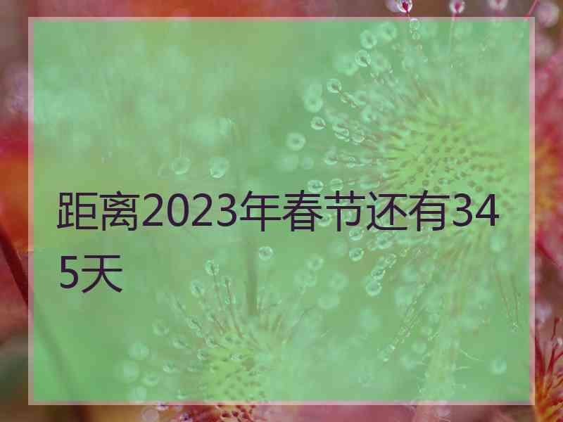 距离2023年春节还有345天