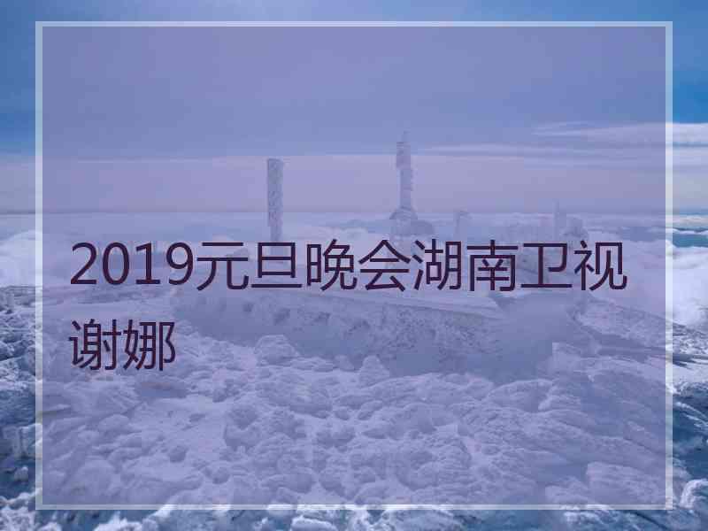 2019元旦晚会湖南卫视谢娜