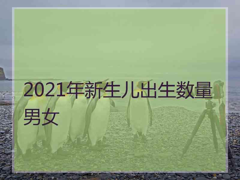 2021年新生儿出生数量男女