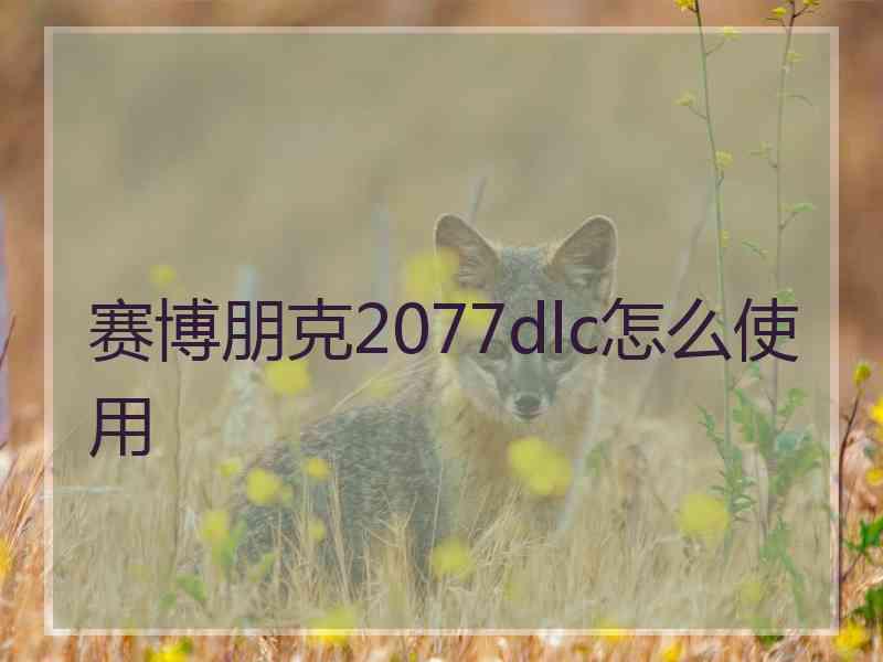 赛博朋克2077dlc怎么使用