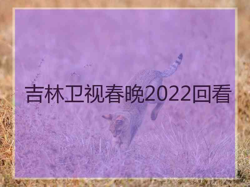 吉林卫视春晚2022回看