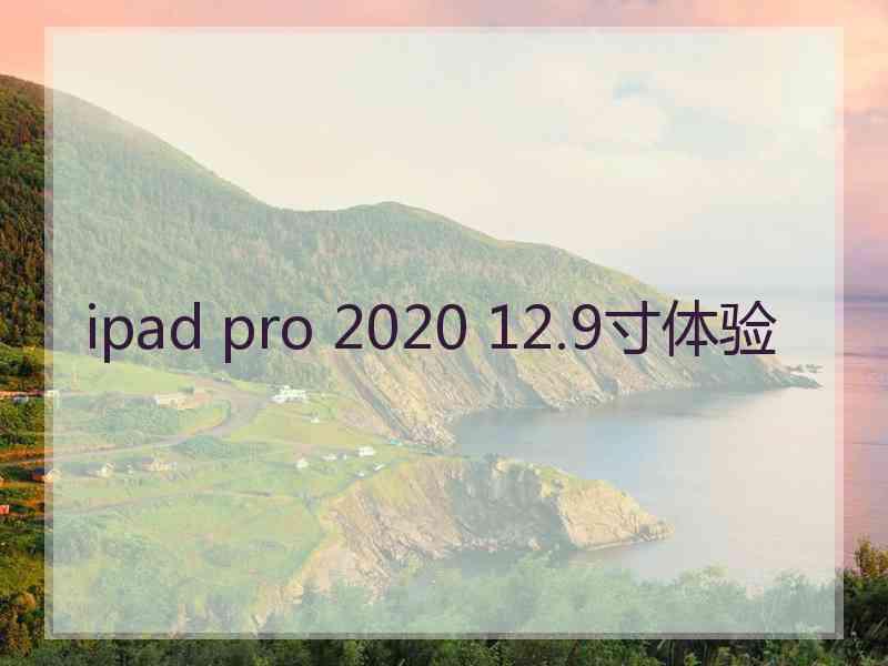 ipad pro 2020 12.9寸体验