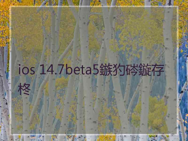 ios 14.7beta5鏃犳硶鏇存柊