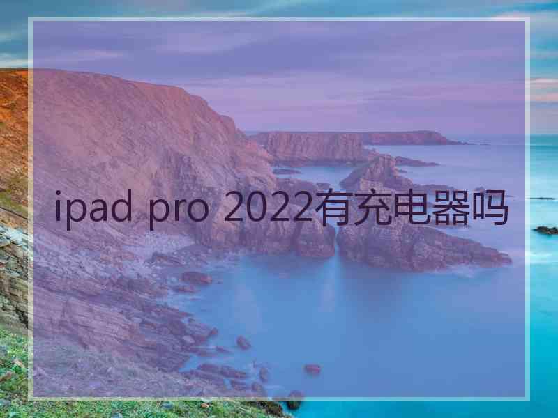 ipad pro 2022有充电器吗