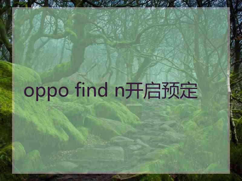 oppo find n开启预定