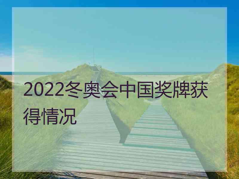 2022冬奥会中国奖牌获得情况