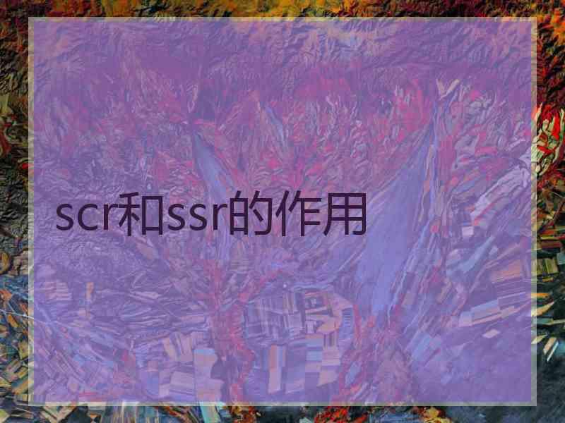 scr和ssr的作用