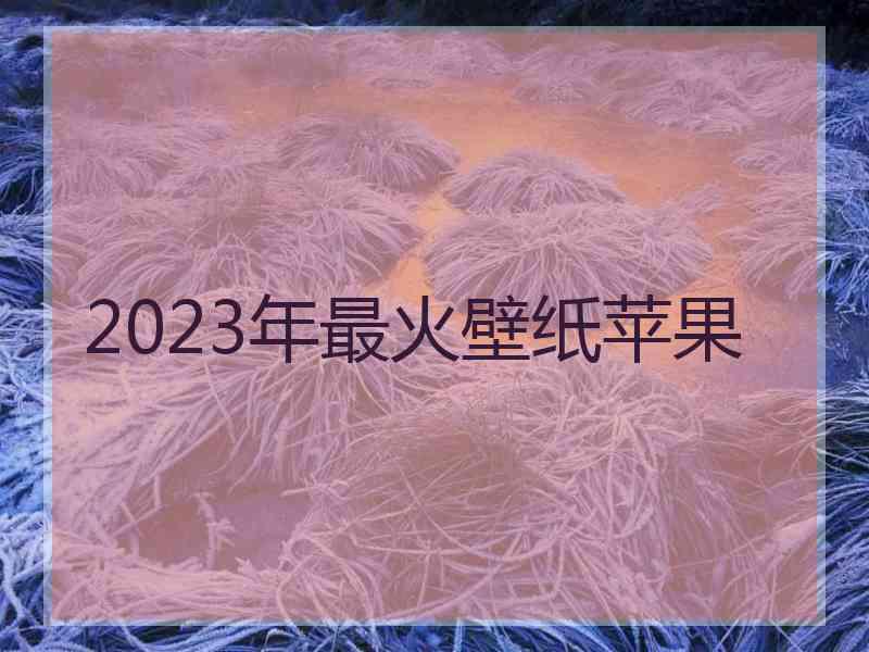 2023年最火壁纸苹果